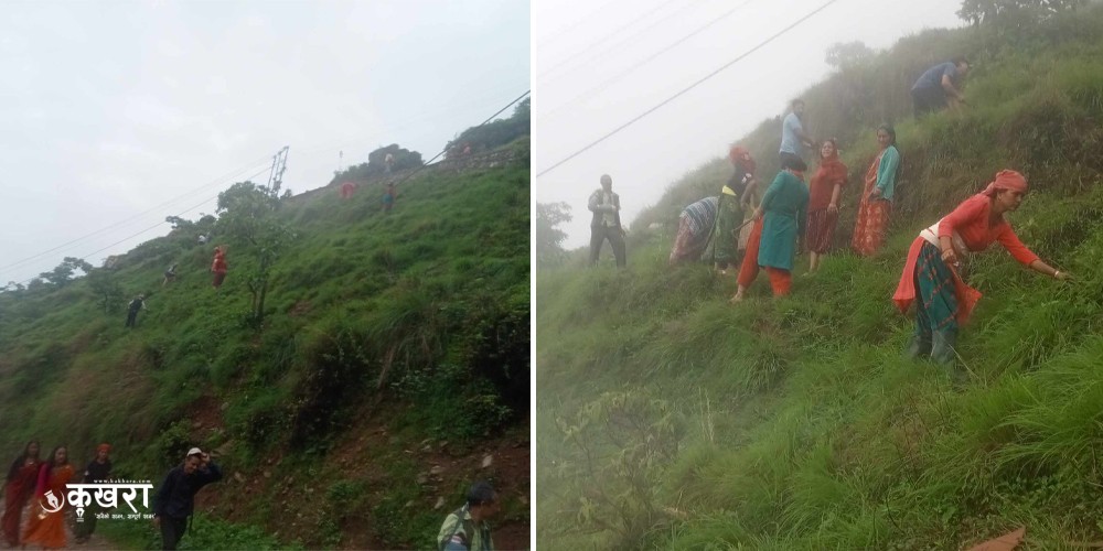 माथिल्लो बागबजारमा वृक्षारोपण 