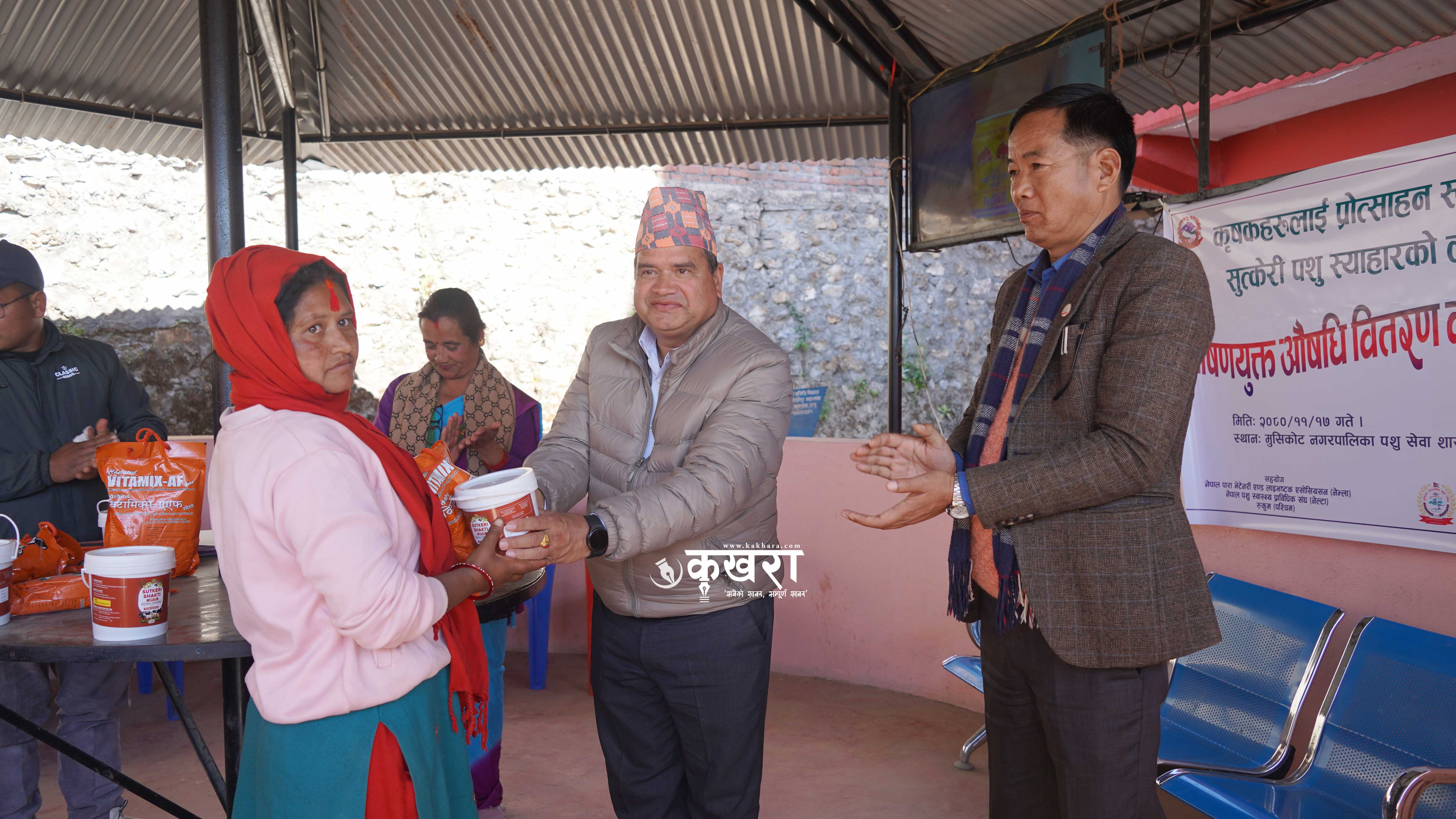 मुसिकोटका ६ कृषकलाई सुत्केरी पशु स्याहारका लागि पोषणयुक्त औषधि वितरण 