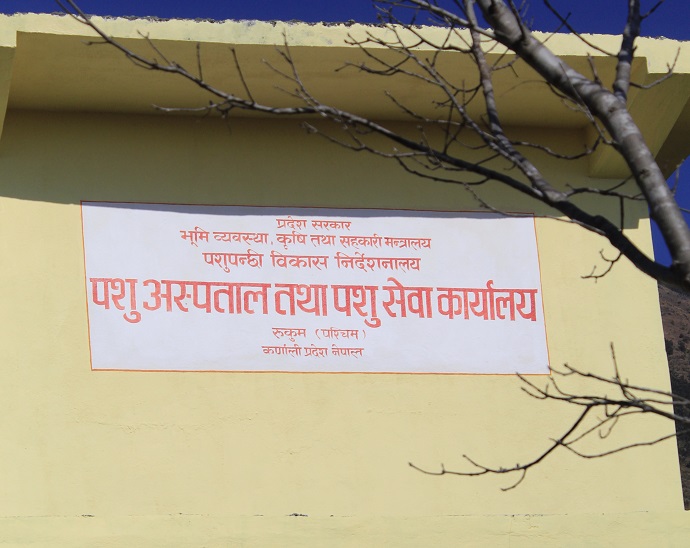 दुधमा प्रोत्साहनका लागि २ सय ५२ समुह, सहकारीले दिए आवेदन
