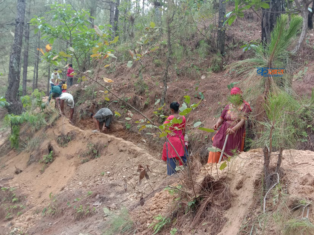 भूमे गाउँपालिकामा एक वर्षमा ६९ जनालाई रोजगारी 