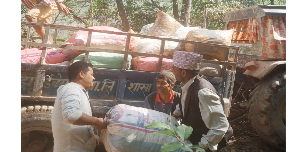 बाँफिकोट ६ का स्थानीय व्यवसायिक बेसार खेतीमा, घरबाटै बिक्रि भएपछि मख्ख