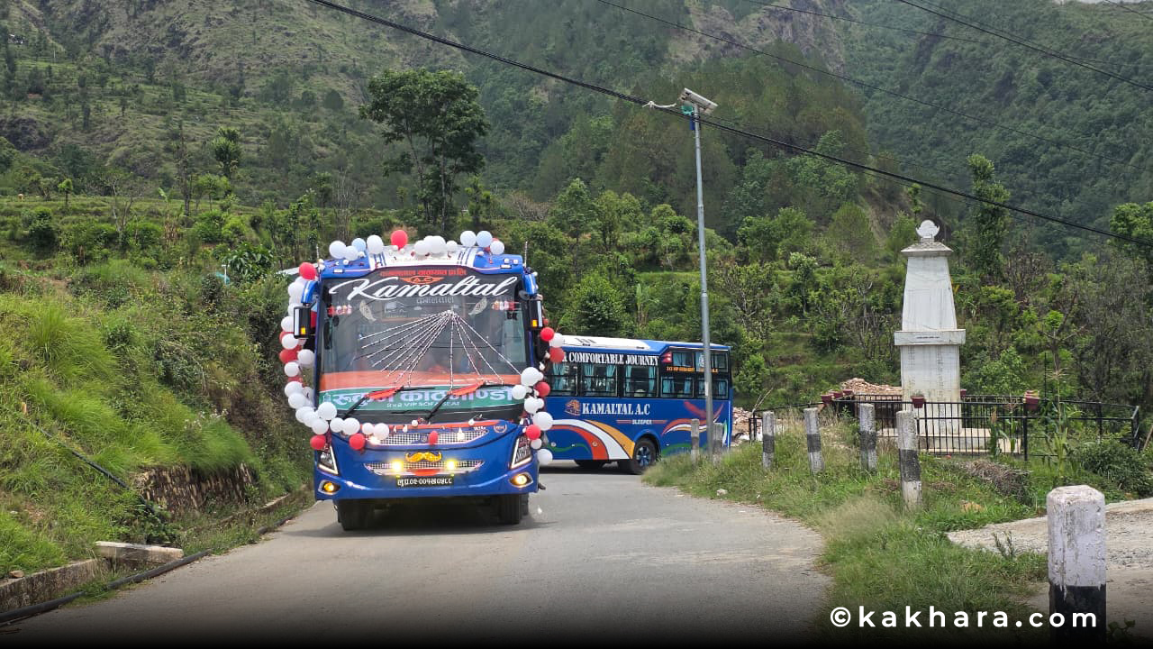 kamal-tal-bus-4-1780736847.jpg