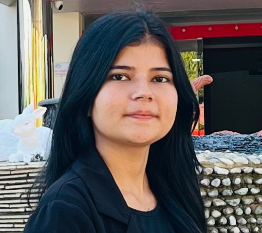 सुरक्षा डाँगी